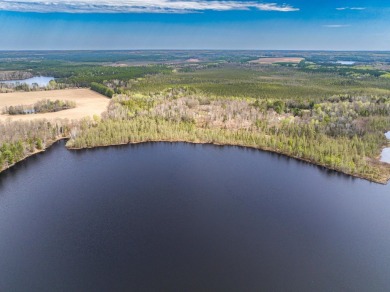 Lake Acreage For Sale in Rhinelander, Wisconsin