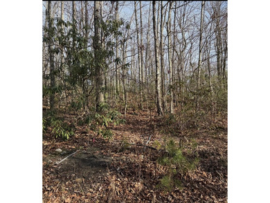 French Broad River Lot For Sale in Sevierville Tennessee