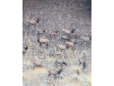 (private lake, pond, coastal) Acreage For Sale in Mount Vernon Oregon