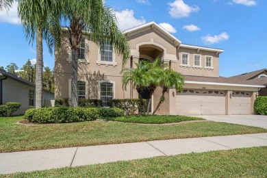Lake Home For Sale in Land O Lakes, Florida