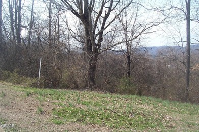 Easy to build on approximately 1-acre basement lot in - photo 2