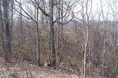 Easy to build on approximately 1-acre basement lot in - photo 3