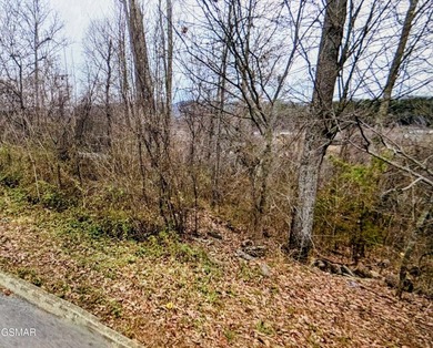 Easy to build on approximately 1-acre basement lot in - photo 4