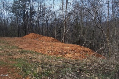 Easy to build on approximately 1-acre basement lot in - photo 10