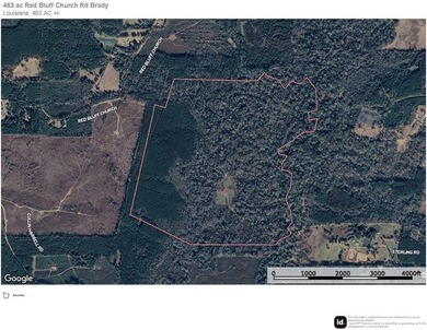 463 acres in North St. Helena Parish, LA just south of the MS - photo 12