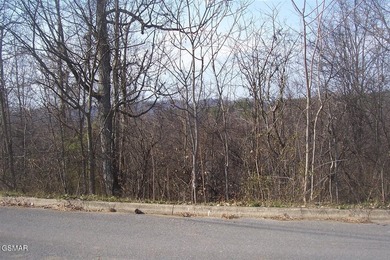Easy to build on approximately 1-acre basement lot in - photo 3