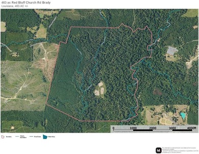 463 acres in North St. Helena Parish, LA just south of the MS - photo 13