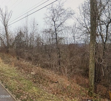 Easy to build on approximately 1-acre basement lot in - photo 5