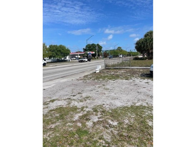 **REDUCED**Property is 6150 sq ft unimproved zoned C3 however - photo 3