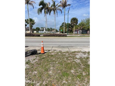 **REDUCED**Property is 6150 sq ft unimproved zoned C3 however - photo 4