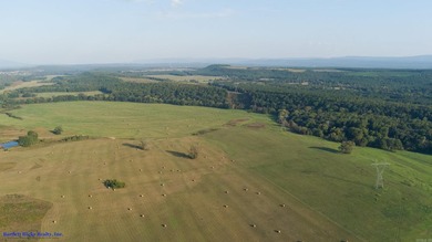 This is more than land-it's a lifestyle. Spanning 1,287 acres of - photo 36