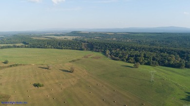 This is more than land-it's a lifestyle. Spanning 1,287 acres of - photo 37