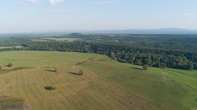 This is more than land-it's a lifestyle. Spanning 1,287 acres of - photo 38