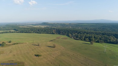 This is more than land-it's a lifestyle. Spanning 1,287 acres of - photo 39