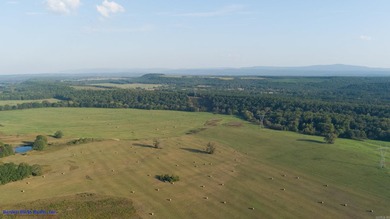 This is more than land-it's a lifestyle. Spanning 1,287 acres of - photo 40