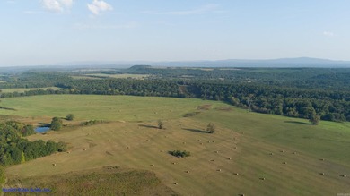 This is more than land-it's a lifestyle. Spanning 1,287 acres of - photo 41