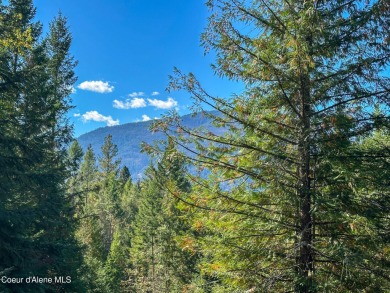 Lake Acreage For Sale in Bonners Ferry, Idaho