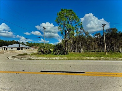 Lehigh Acres Area Lot For Sale in Lehigh Acres Florida