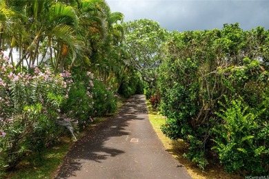 Rare North Shore beachfront multi-dwelling property on 45,346 sq - photo 4