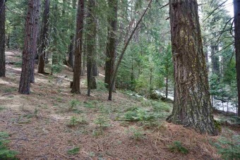 (private lake, pond, creek) Lot For Sale in Blairsden California