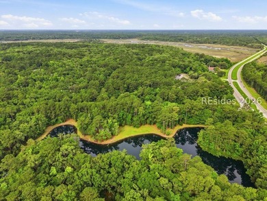 Build your Lowcountry retreat on this 0.98-acre homesite located - photo 4