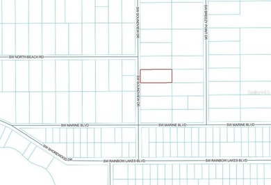 HUGE BUILDABLE LOT - NEARLY 1 ACRE IN DUNNELLON! Rare - photo 11