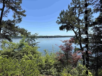 Completed in 2023, this Tennessee River Modern Masterpiece is - photo 13