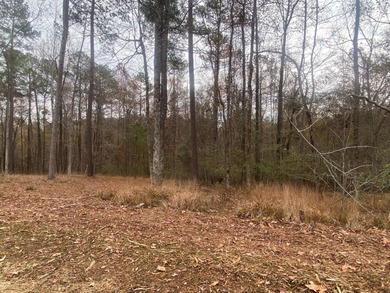 Savannah River - Columbia County Lot Sale Pending in Evans Georgia