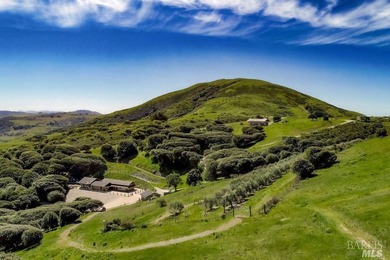 From the sun-drenched slope of Black Mountain in coveted Nicasio - photo 2