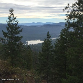 Pend Oreille River Acreage For Sale in Sandpoint Idaho