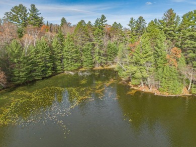 Lake Acreage For Sale in Three Lakes, Wisconsin