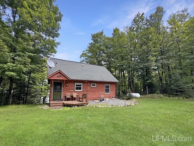 Buck Lake - Iron County Home Active Under Contract in Crystal Falls Michigan