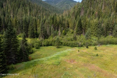 (private lake, pond, creek) Acreage For Sale in Wallace Idaho