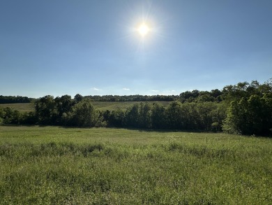 (private lake, pond, creek) Acreage For Sale in Carlisle Kentucky