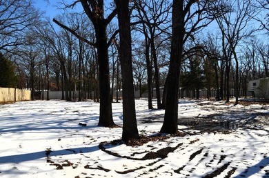 Cedar Creek Lake Lot For Sale in Gun Barrel City Texas