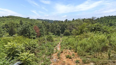 Vacant land on Cherokee Drive. Stick-built homes and double wide - photo 9