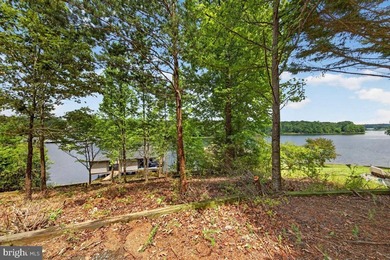 Remarkable waterfront lot! 3 stall Boathouse with huge sunning - photo 7