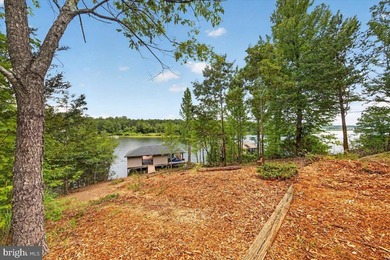 Remarkable waterfront lot! 3 stall Boathouse with huge sunning - photo 8