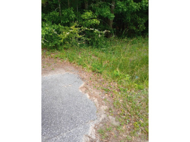  Lot For Sale in Conway South Carolina