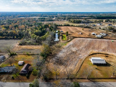 Lake Acreage For Sale in Taylor, Alabama