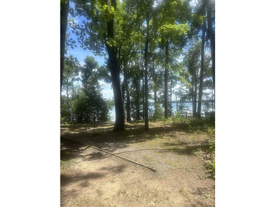 Enjoy private-shared access to desirable West Twin Lake in - photo 18