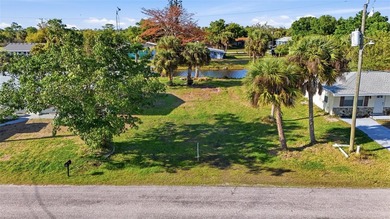 Build your Florida dream home on this 60 FT saltwater - photo 22
