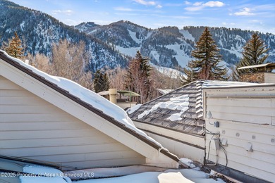 There are homes in Aspen that feel appropriate for the mountains