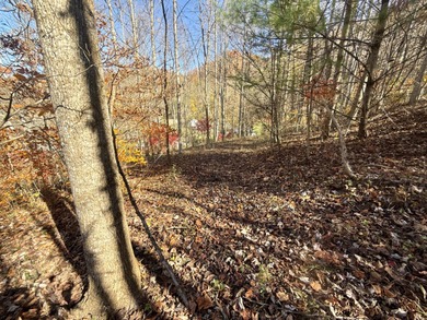 (private lake, pond, creek) Acreage For Sale in Hampton Tennessee