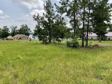 Great View Plus Water Access At Toledo Bend! - Lake Lot For Sale in Hemphill, Texas