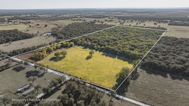 (private lake, pond, creek) Acreage For Sale in Blum Texas