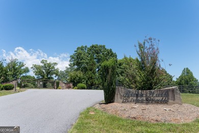 BRAND NEW HOME IN UPSCALE GATED COMMUNITY WITH RIVER ACCESS - photo 38
