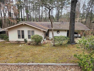 Additional listing photo 1