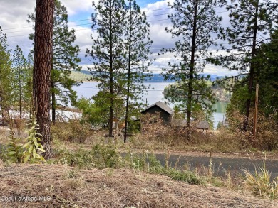 Coeur d Alene Lake Lot For Sale in Worley Idaho