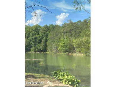 Lake Acreage For Sale in Sevierville, Tennessee